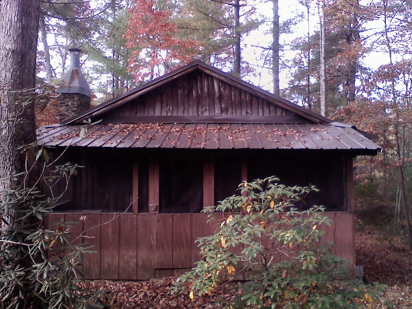 Metal roof over the screened porch of a rustic cabin in Long Beach